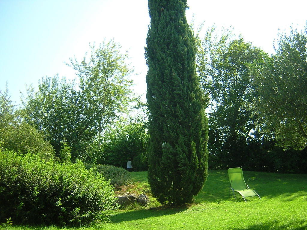 מונזמבנו Agriturismo Trebisonda Country Resort מראה חיצוני תמונה