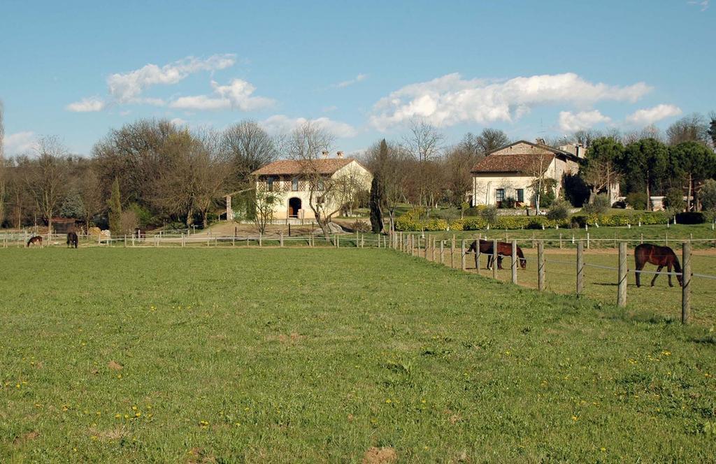 מונזמבנו Agriturismo Trebisonda Country Resort מראה חיצוני תמונה